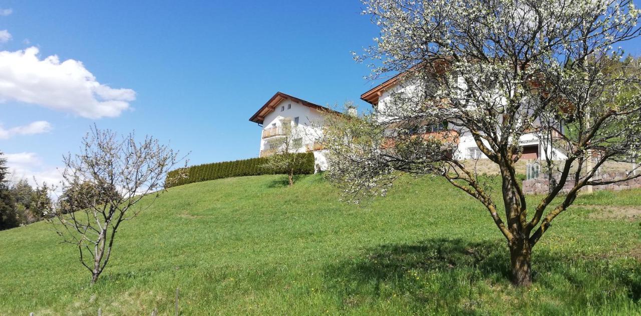 Agriturismo Ferienhof Gschloier (Adults Only) Laion Eksteriør billede